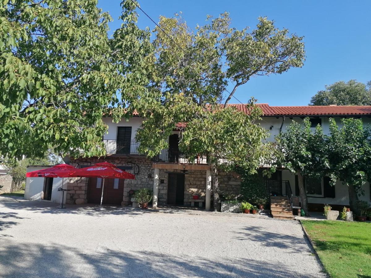 Bed and Breakfast Domacija Mirko Miren Exterior foto